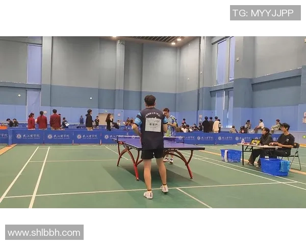 武汉乒乓球队实力揭秘：乒乓球巨献背后的故事与成就