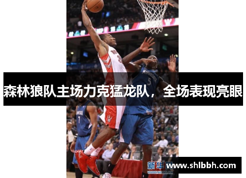 森林狼队主场力克猛龙队，全场表现亮眼